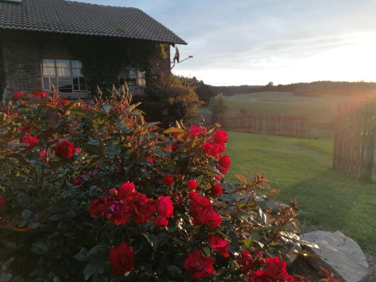 Rocks & Roses Farm Stay Lochiel Exteriér fotografie