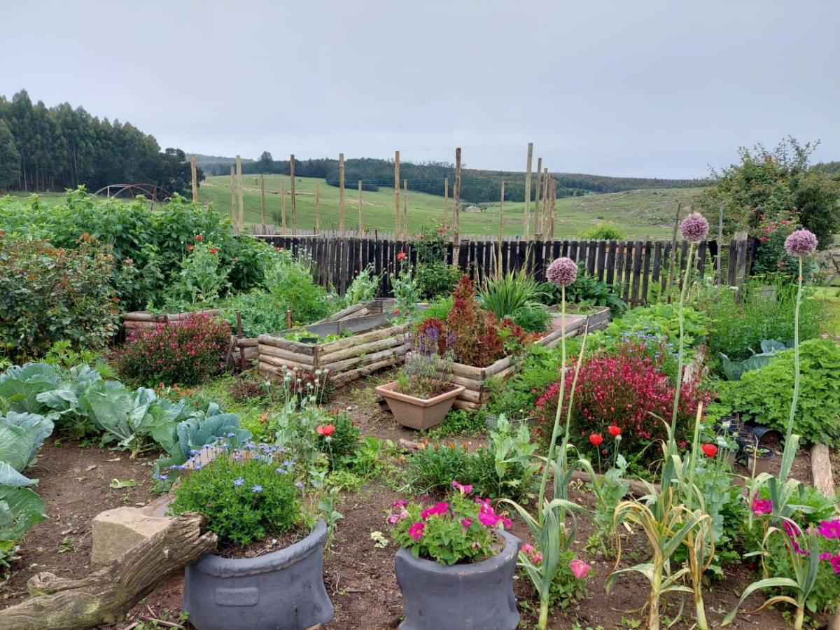 Rocks & Roses Farm Stay Lochiel Exteriér fotografie