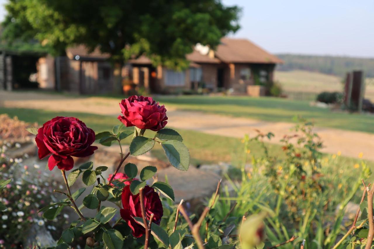 Rocks & Roses Farm Stay Lochiel Exteriér fotografie