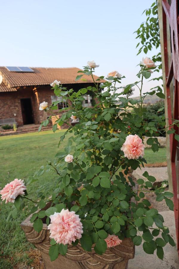 Rocks & Roses Farm Stay Lochiel Exteriér fotografie