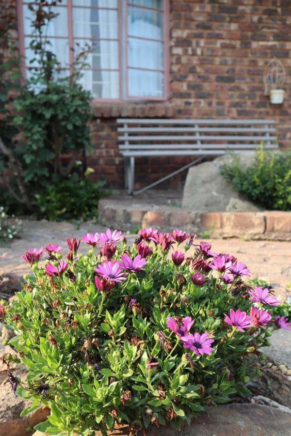 Rocks & Roses Farm Stay Lochiel Exteriér fotografie